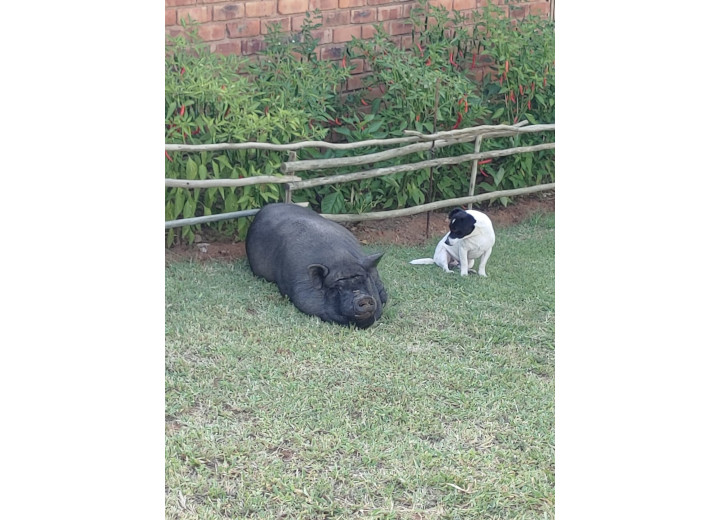 Mia & Skipper